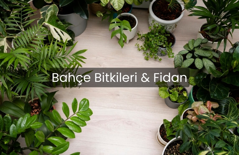 Bahçe Bitkileri & Fidan